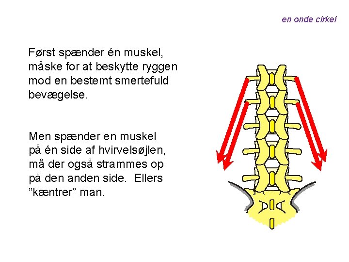 en onde cirkel Først spænder én muskel, måske for at beskytte ryggen mod en