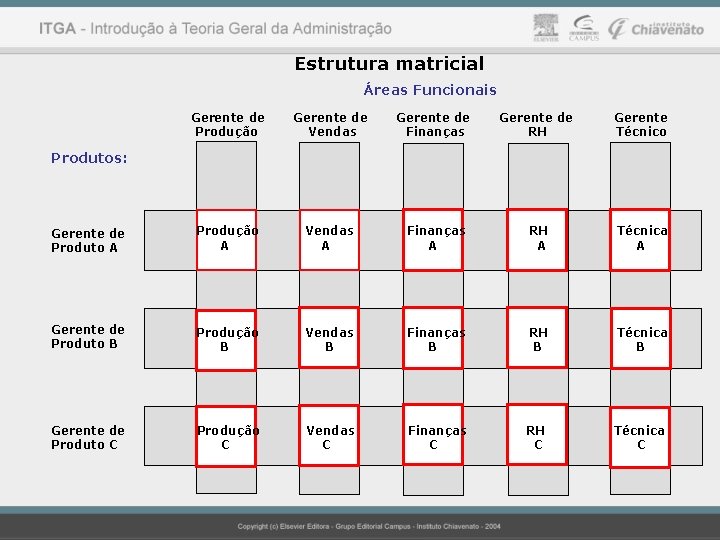 Estrutura matricial Áreas Funcionais Gerente de Produção Gerente de Vendas Gerente de Finanças Gerente