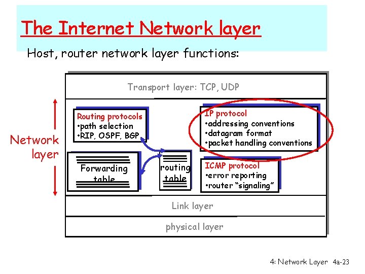 The Internet Network layer Host, router network layer functions: Transport layer: TCP, UDP Network