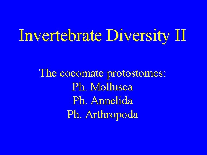 Invertebrate Diversity II The coeomate protostomes: Ph. Mollusca Ph. Annelida Ph. Arthropoda 