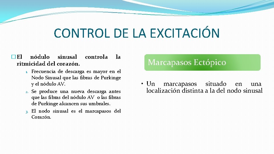 CONTROL DE LA EXCITACIÓN � El nódulo sinusal controla ritmicidad del corazón. 1. 2.