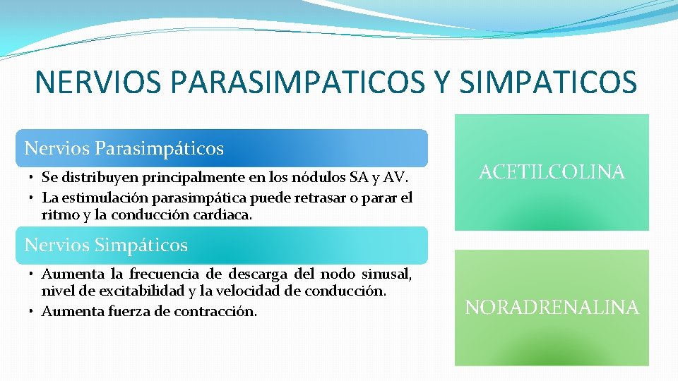 NERVIOS PARASIMPATICOS Y SIMPATICOS Nervios Parasimpáticos • Se distribuyen principalmente en los nódulos SA