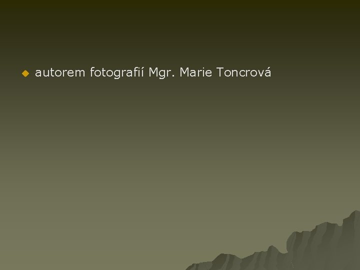 u autorem fotografií Mgr. Marie Toncrová 