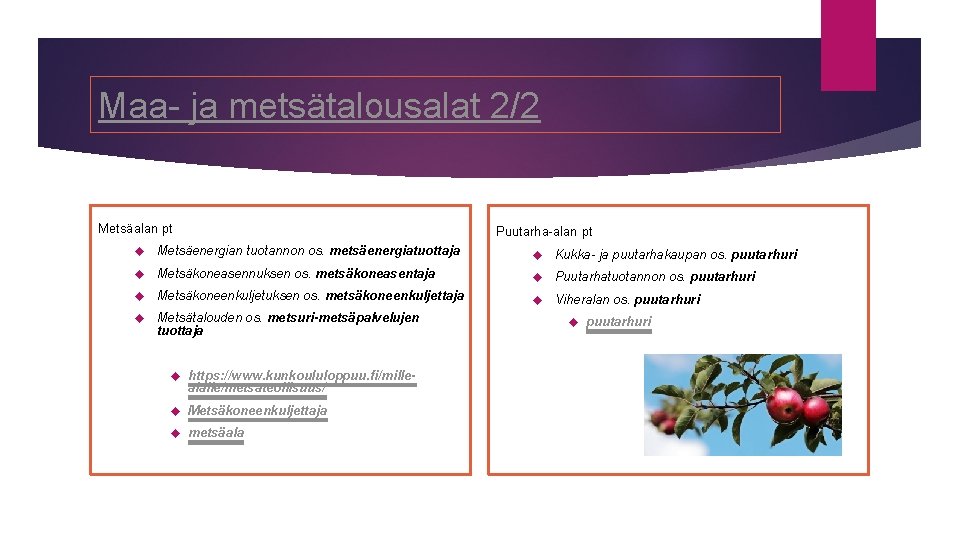 Maa- ja metsätalousalat 2/2 Metsäalan pt Puutarha-alan pt Metsäenergian tuotannon os. metsäenergiatuottaja Kukka- ja