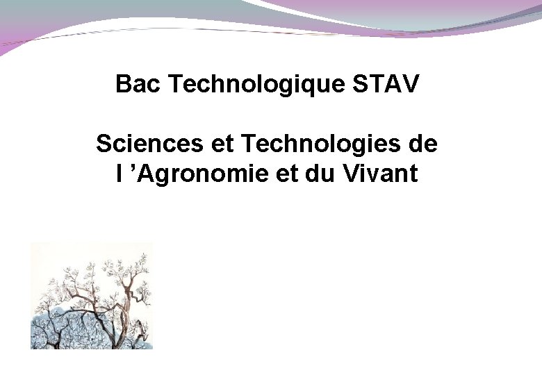 Bac Technologique STAV Sciences et Technologies de l ’Agronomie et du Vivant 