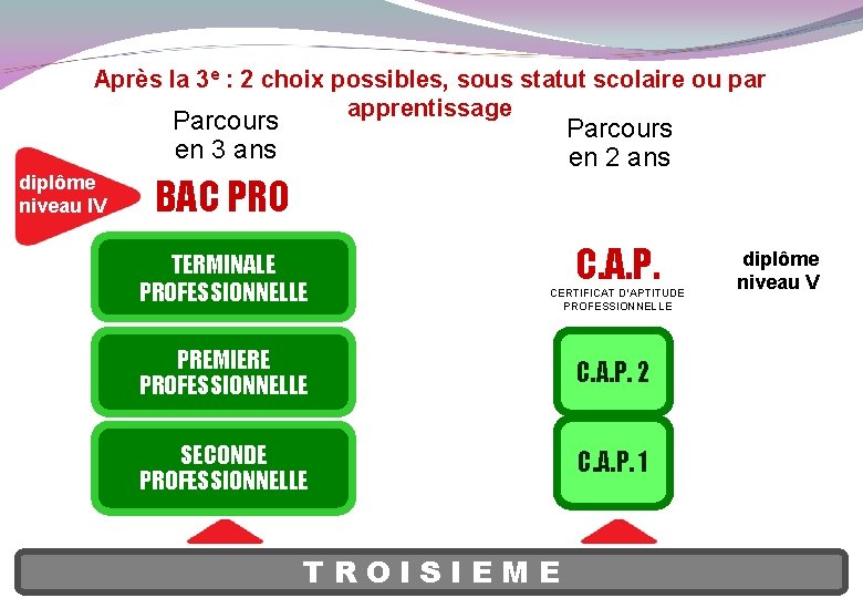 Après la 3 e : 2 choix possibles, sous statut scolaire ou par apprentissage