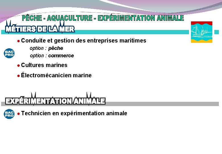  Conduite et gestion des entreprises maritimes option : pêche option : commerce Cultures