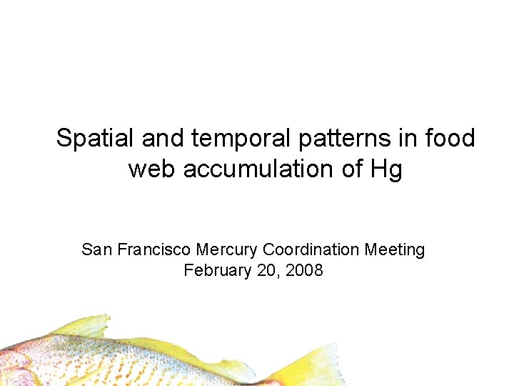 Spatial and temporal patterns in food web accumulation of Hg San Francisco Mercury Coordination