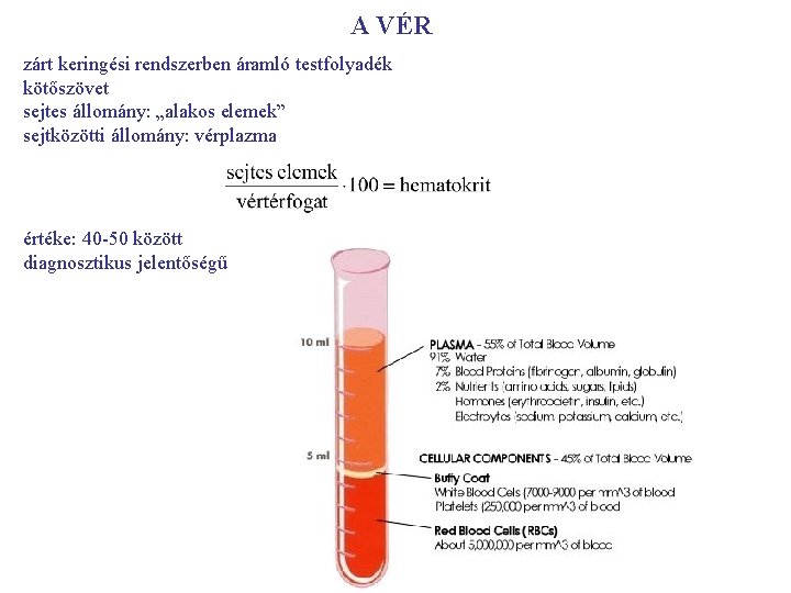 A VÉR zárt keringési rendszerben áramló testfolyadék kötőszövet sejtes állomány: „alakos elemek” sejtközötti állomány: