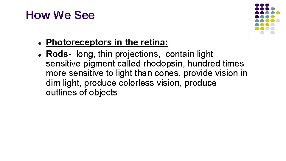 How We See ● ● Photoreceptors in the retina: Rods- long, thin projections, contain