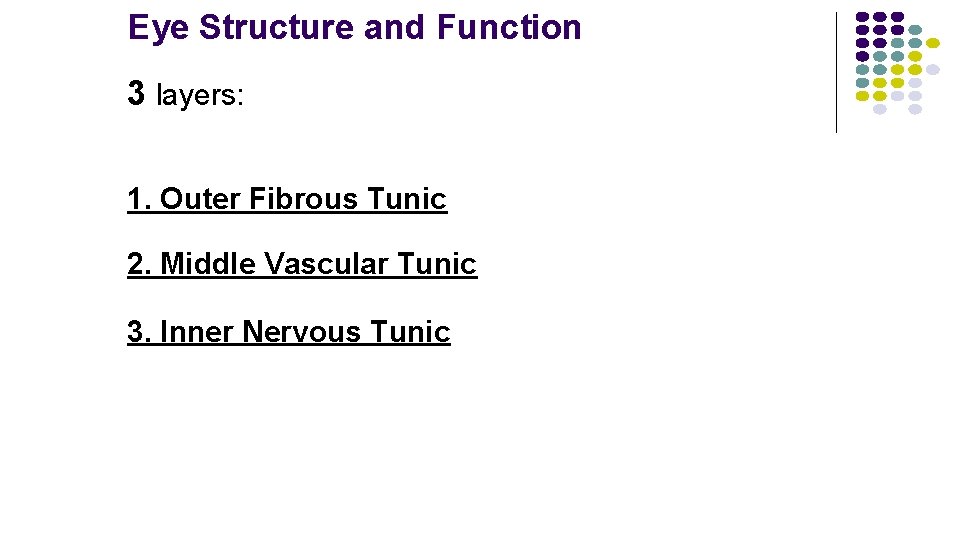 Eye Structure and Function 3 layers: 1. Outer Fibrous Tunic 2. Middle Vascular Tunic