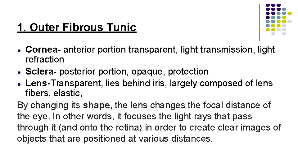 1. Outer Fibrous Tunic Cornea- anterior portion transparent, light transmission, light refraction ● Sclera-