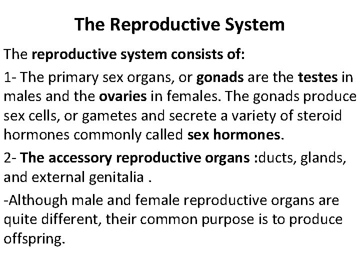 The Reproductive System The reproductive system consists of: 1 - The primary sex organs,