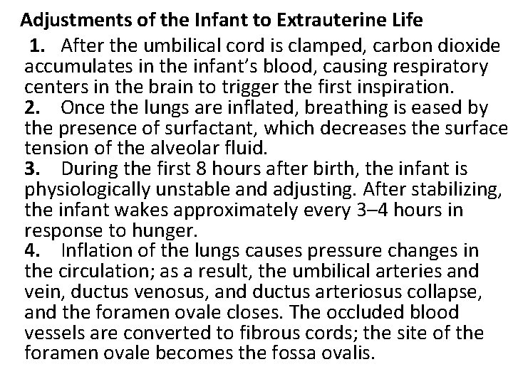  Adjustments of the Infant to Extrauterine Life 1. After the umbilical cord is