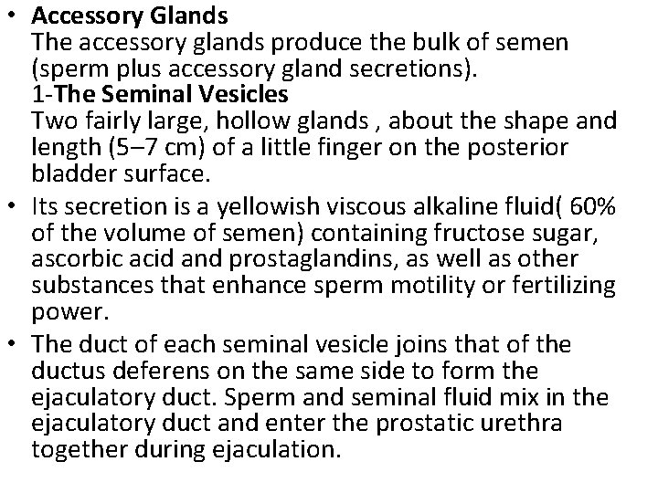  • Accessory Glands The accessory glands produce the bulk of semen (sperm plus