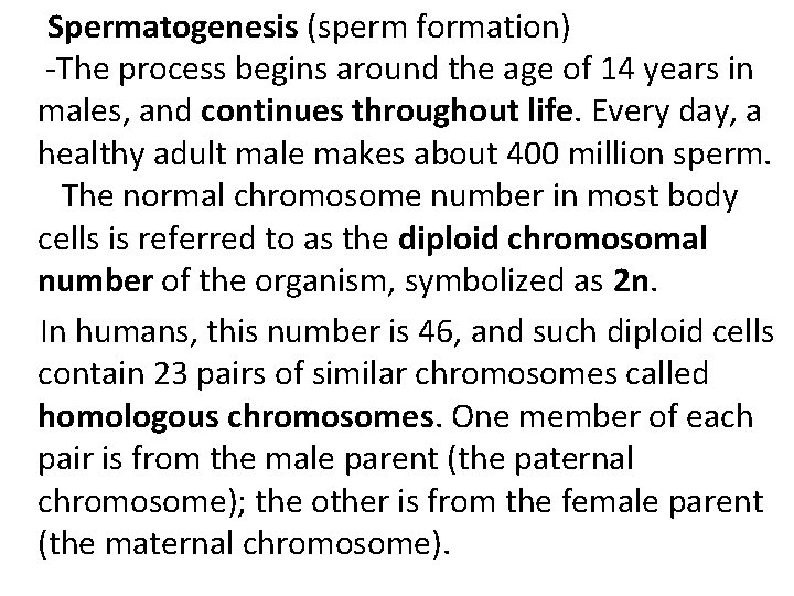  Spermatogenesis (sperm formation) -The process begins around the age of 14 years in