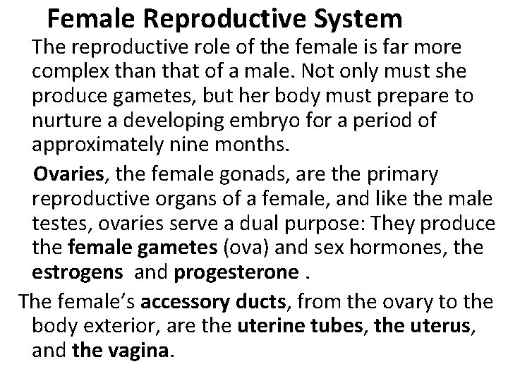 Female Reproductive System The reproductive role of the female is far more complex Female Reproductive System The reproductive role of the female is far more complex