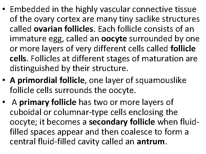  • Embedded in the highly vascular connective tissue of the ovary cortex are