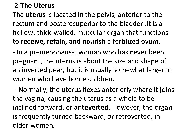  2 -The Uterus The uterus is located in the pelvis, anterior to the