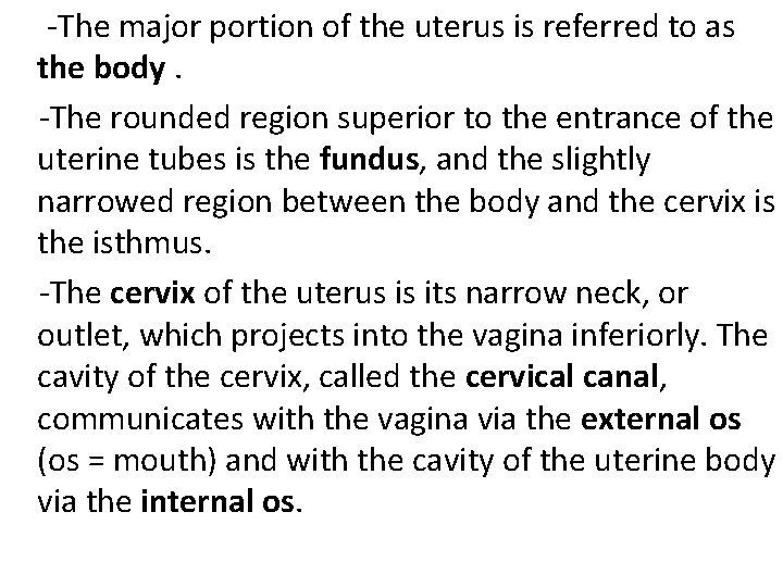  -The major portion of the uterus is referred to as the body. -The