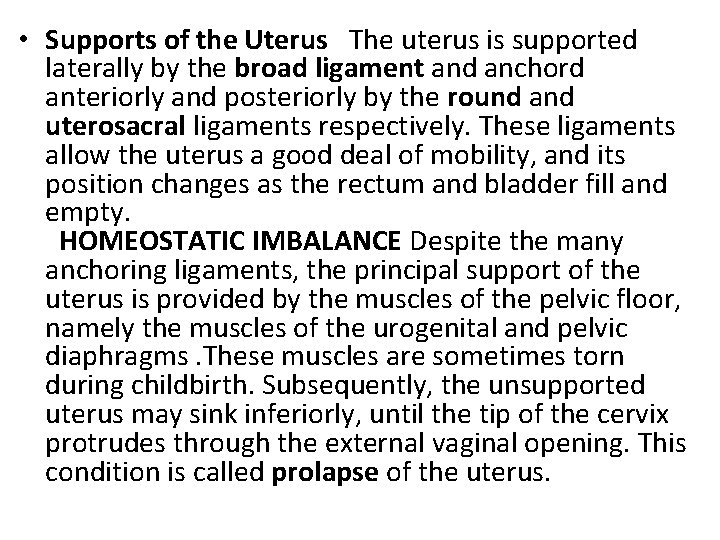  • Supports of the Uterus The uterus is supported laterally by the broad