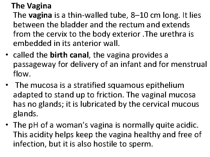  The Vagina The vagina is a thin-walled tube, 8– 10 cm long. It