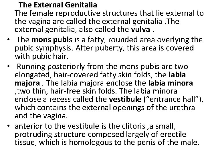  The External Genitalia The female reproductive structures that lie external to the vagina