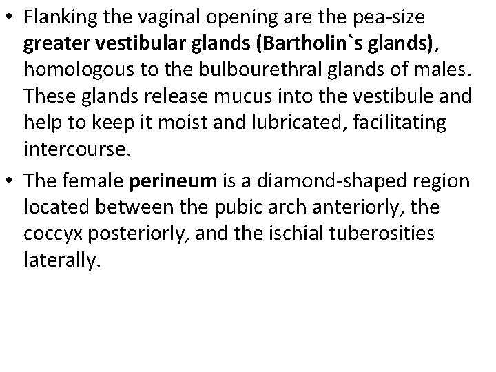 • Flanking the vaginal opening are the pea-size greater vestibular glands (Bartholin`s glands), • Flanking the vaginal opening are the pea-size greater vestibular glands (Bartholin`s glands),