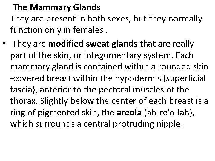  The Mammary Glands They are present in both sexes, but they normally function