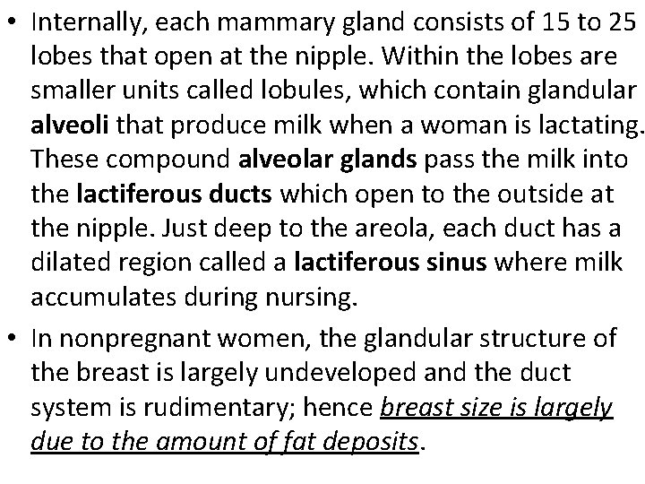  • Internally, each mammary gland consists of 15 to 25 lobes that open