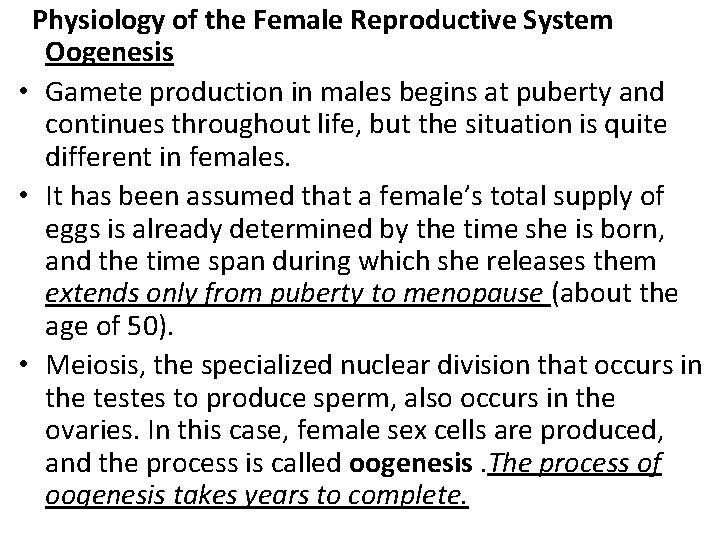  Physiology of the Female Reproductive System Oogenesis • Gamete production in males begins