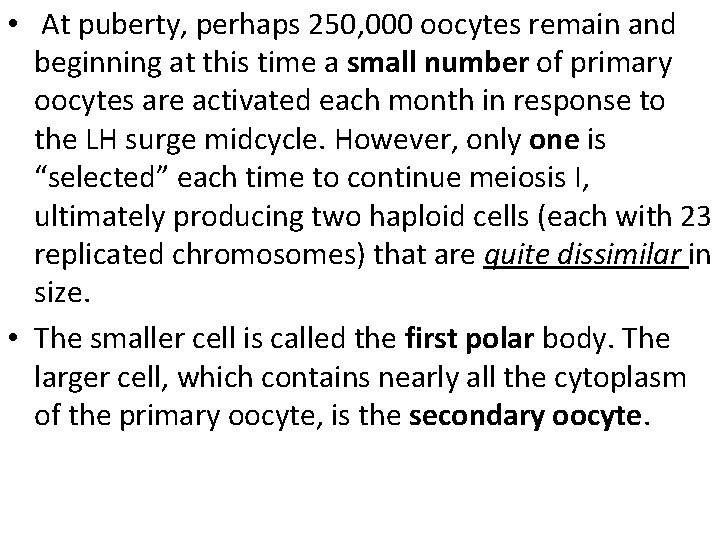  • At puberty, perhaps 250, 000 oocytes remain and beginning at this time