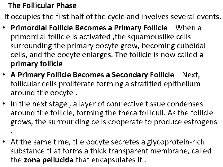  The Follicular Phase It occupies the first half of the cycle and involves