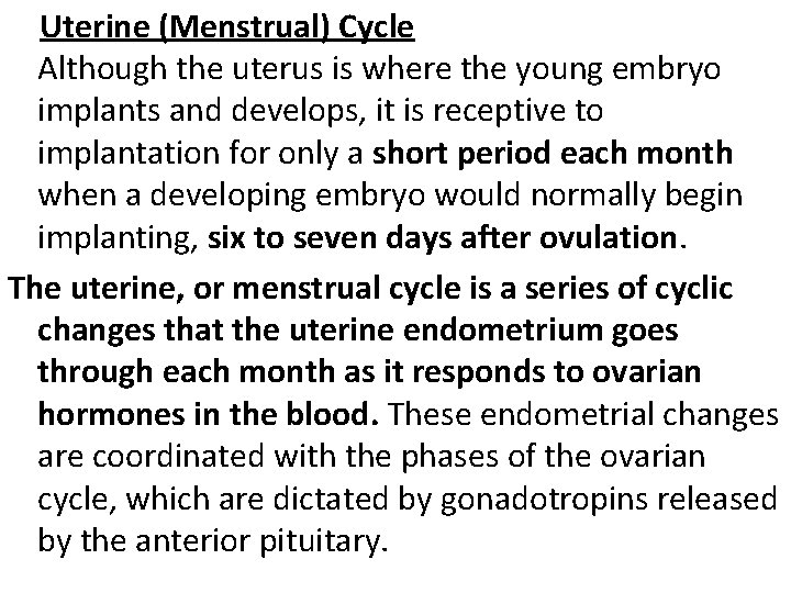  Uterine (Menstrual) Cycle Although the uterus is where the young embryo implants and