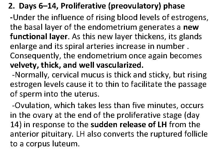 2. Days 6– 14, Proliferative (preovulatory) phase -Under the influence of rising blood 2. Days 6– 14, Proliferative (preovulatory) phase -Under the influence of rising blood