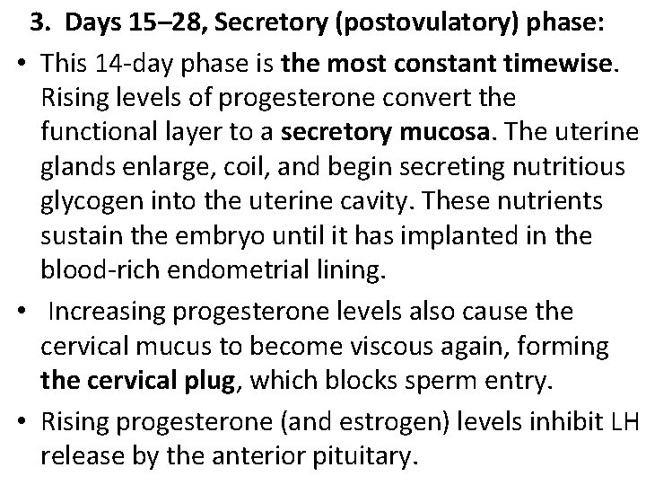  3. Days 15– 28, Secretory (postovulatory) phase: • This 14 -day phase is