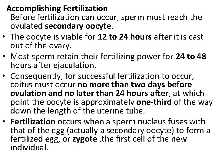 Accomplishing Fertilization Before fertilization can occur, sperm must reach the ovulated secondary oocyte. Accomplishing Fertilization Before fertilization can occur, sperm must reach the ovulated secondary oocyte.