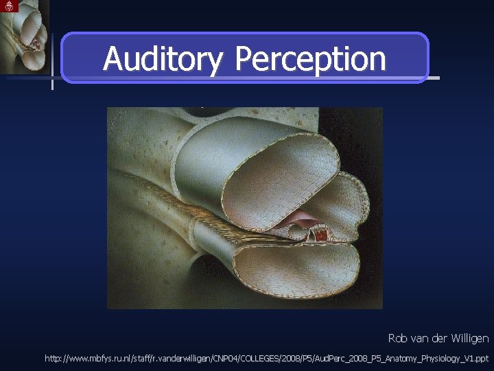 Auditory Perception Rob van der Willigen http: //www. mbfys. ru. nl/staff/r. vanderwilligen/CNP 04/COLLEGES/2008/P 5/Aud.