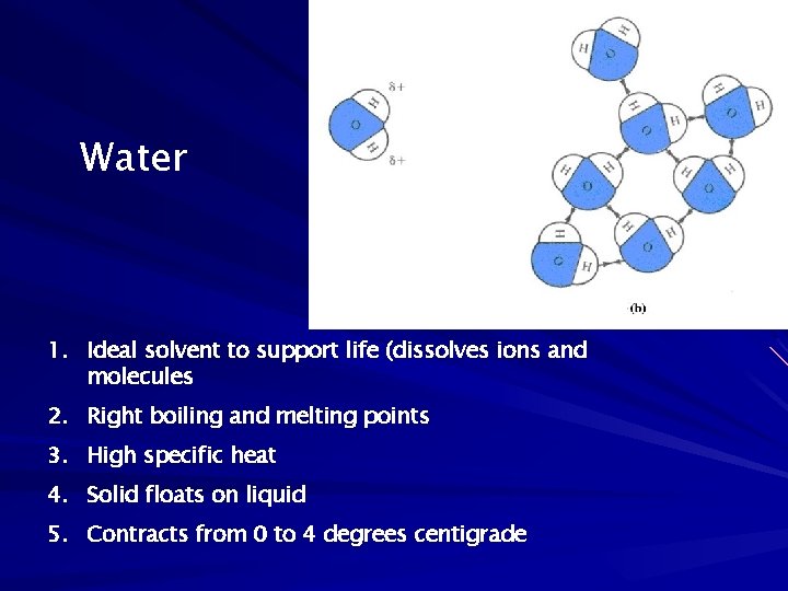 Water 1. Ideal solvent to support life (dissolves ions and molecules 2. Right boiling