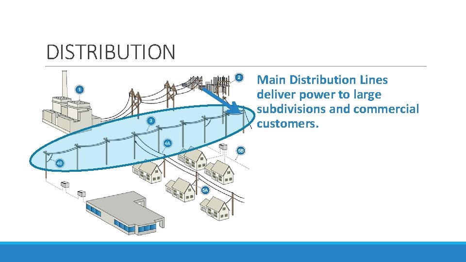 DISTRIBUTION Main Distribution Lines deliver power to large subdivisions and commercial customers. 