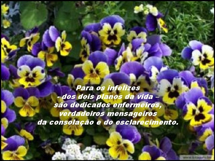Para os infelizes - dos dois planos da vida – são dedicados enfermeiros, verdadeiros