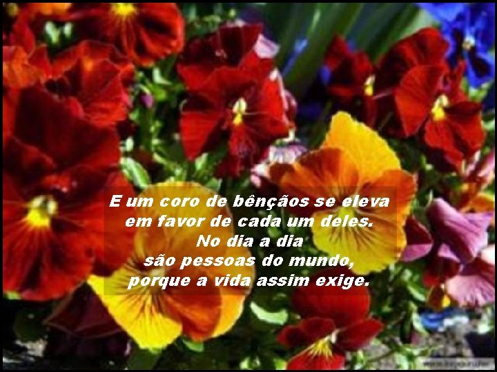 E um coro de bênçãos se eleva em favor de cada um deles. No