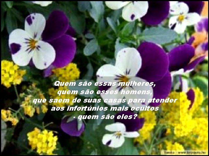 Quem são essas mulheres, quem são esses homens, que saem de suas casas para