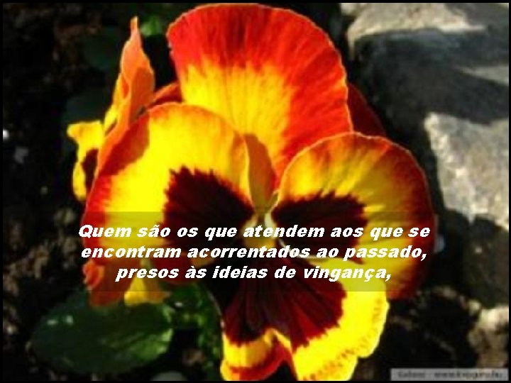Quem são os que atendem aos que se encontram acorrentados ao passado, presos às