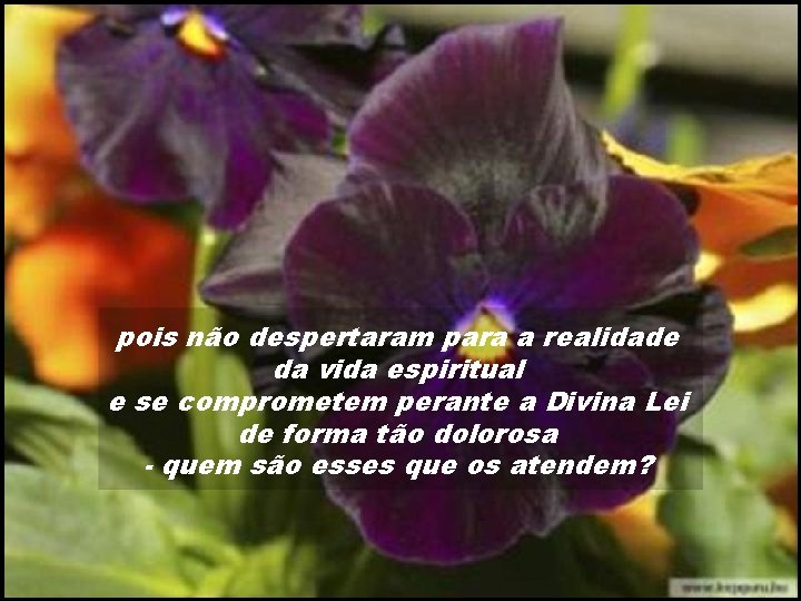 pois não despertaram para a realidade da vida espiritual e se comprometem perante a