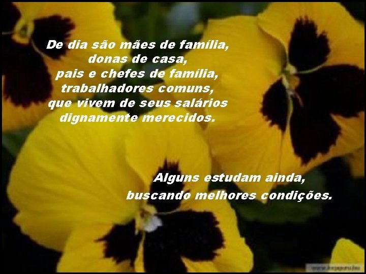 De dia são mães de família, donas de casa, pais e chefes de família,