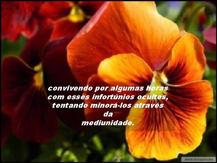 convivendo por algumas horas com esses infortúnios ocultos, tentando minorá-los através da mediunidade. 