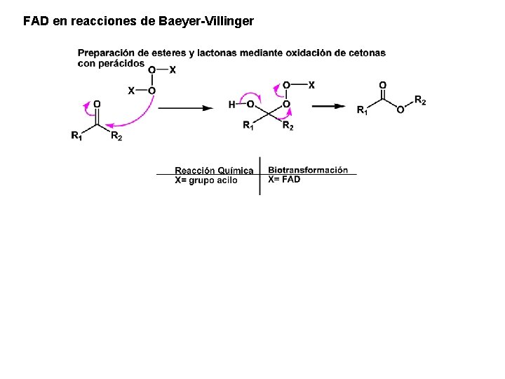 FAD en reacciones de Baeyer-Villinger FAD en reacciones de Baeyer-Villinger
