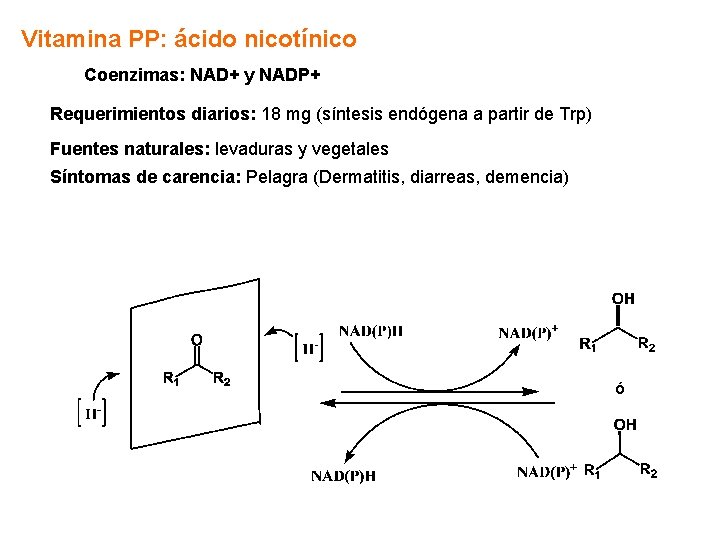Vitamina PP: ácido nicotínico Coenzimas: NAD+ y NADP+ Requerimientos diarios: 18 mg (síntesis endógena Vitamina PP: ácido nicotínico Coenzimas: NAD+ y NADP+ Requerimientos diarios: 18 mg (síntesis endógena