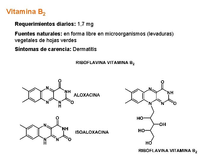 Vitamina B 2 Requerimientos diarios: 1, 7 mg Fuentes naturales: en forma libre en Vitamina B 2 Requerimientos diarios: 1, 7 mg Fuentes naturales: en forma libre en